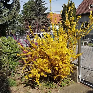 Apartment Garden Donau-city